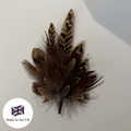 Handmade Small Feather Hat Pin | Fine Feathers