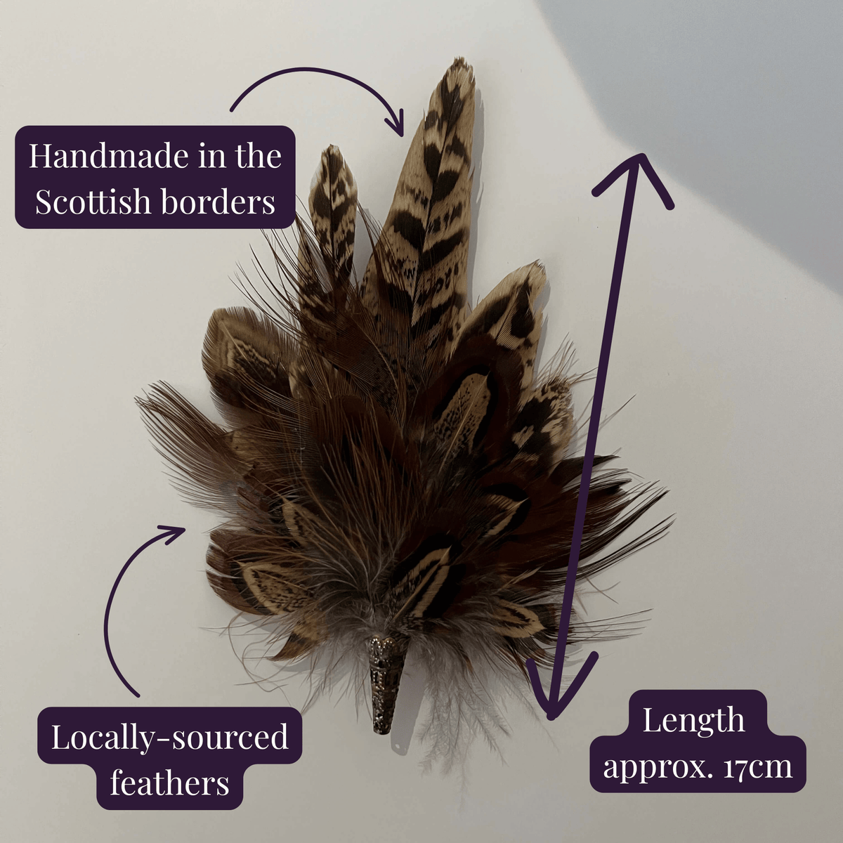Fine & Fancy Feathers Bundle