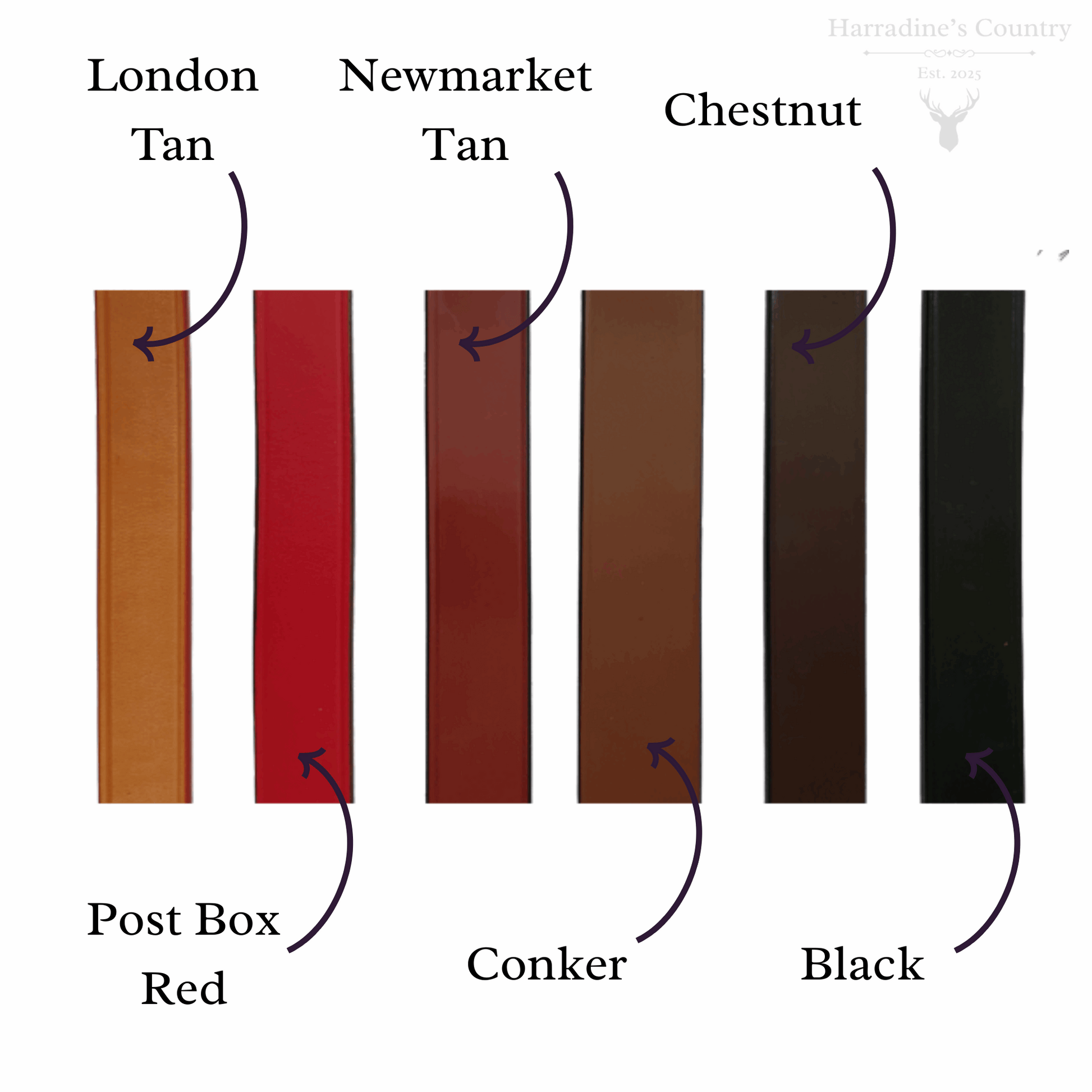 Filly and Fox belt colour swatches labeled with names of leather colours on a white background