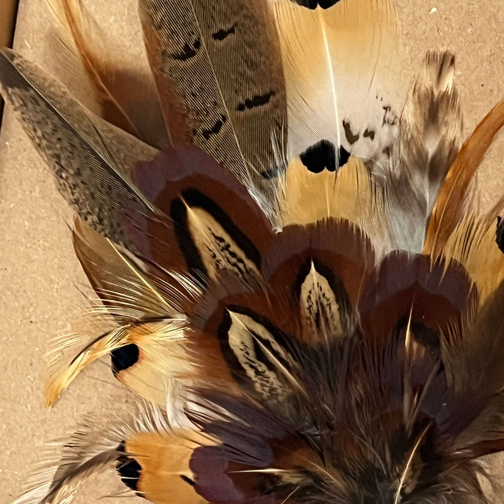 Close-up of feather brooch by Fine Feathers Design