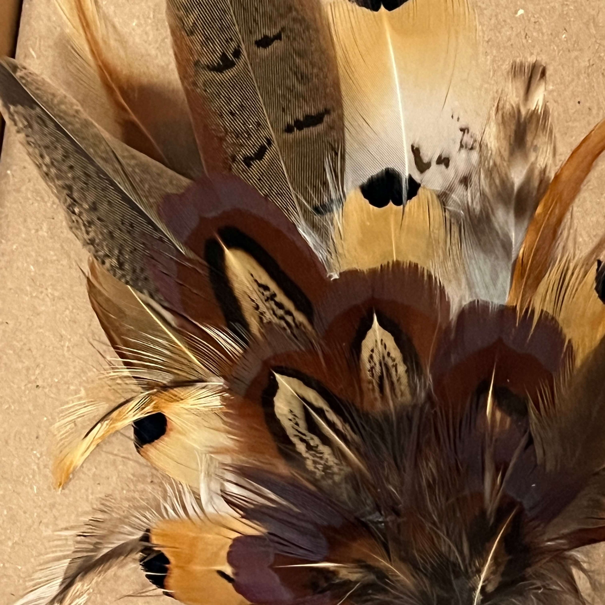 Close-up of feather brooch by Fine Feathers Design
