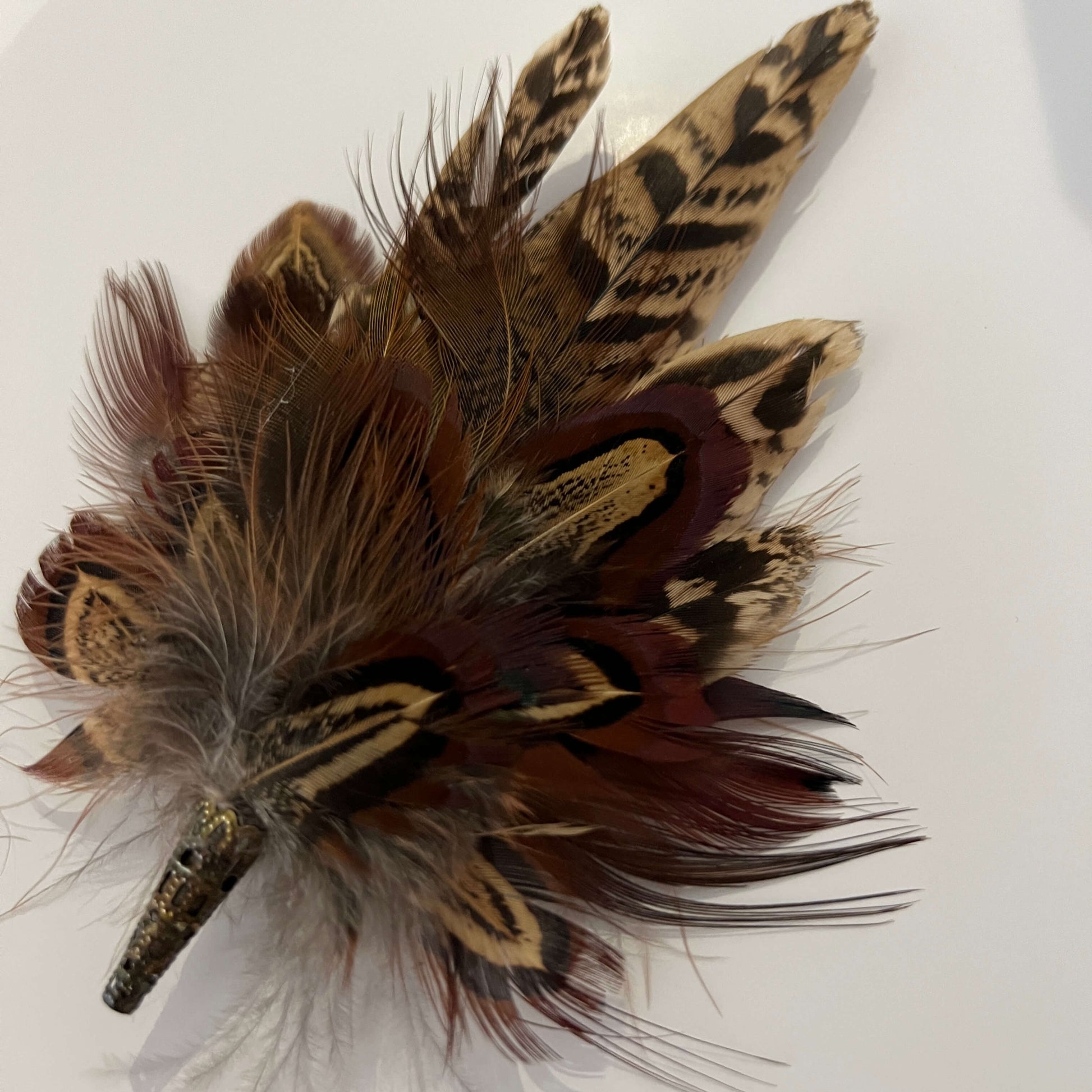 Pheasant feather brooch by Fine Feathers Design