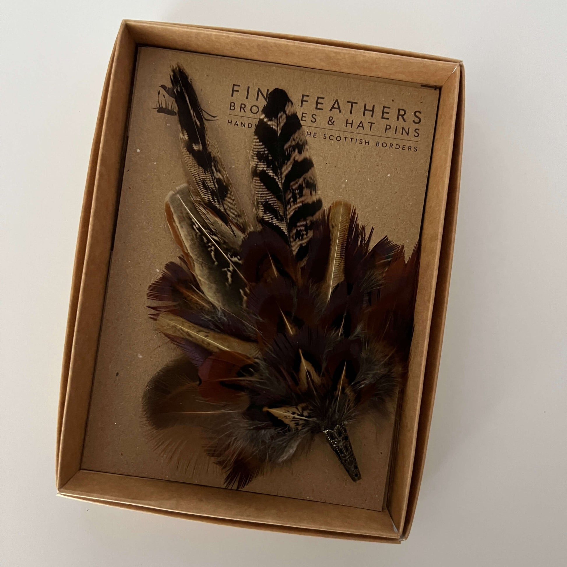 Fine Feathers Design feather brooch pin in gift box