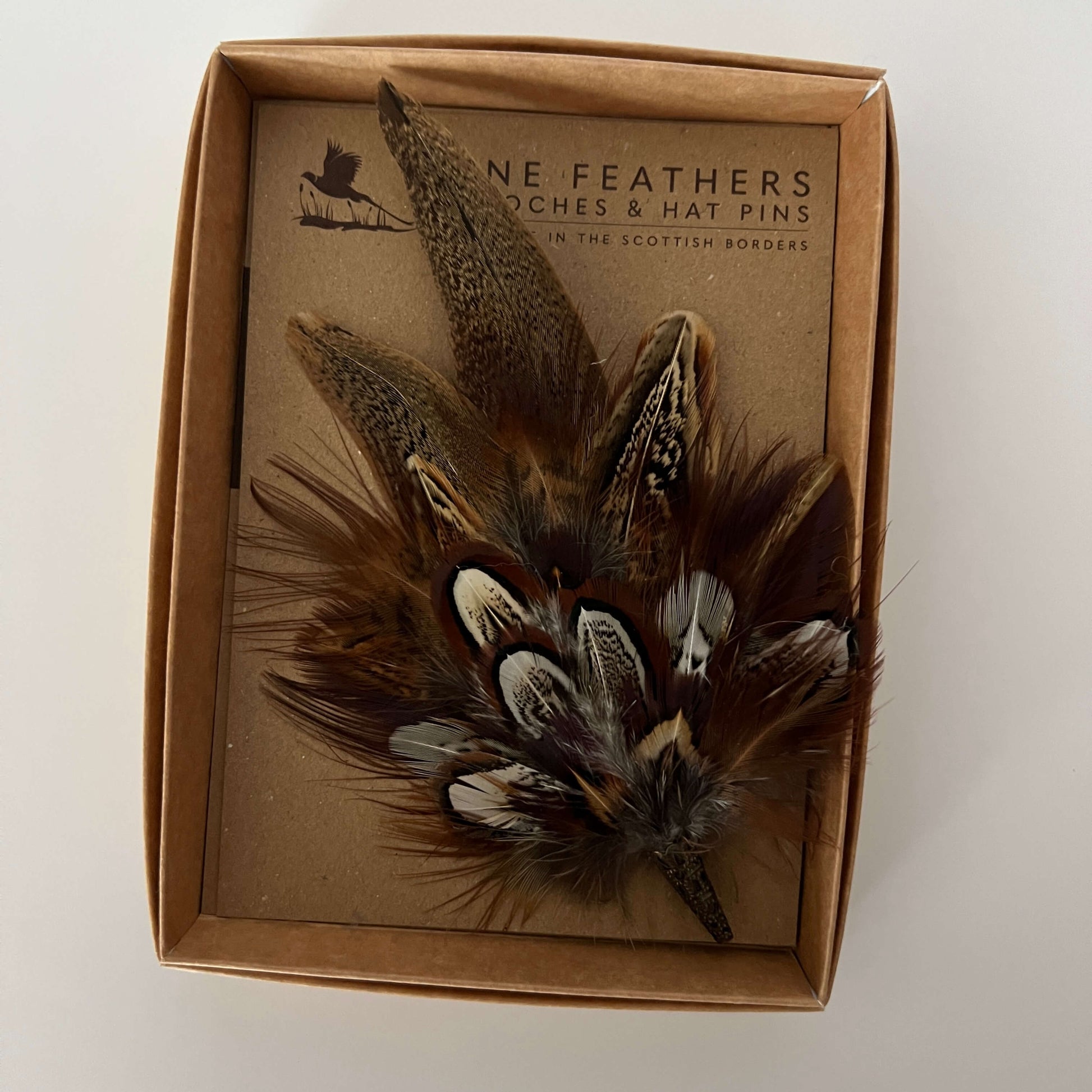 Fine Feathers Design pheasant feather brooch in gift box